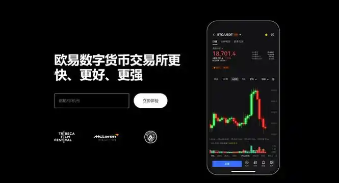 ustd用什么软件交易平台展示图